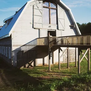 The Lyon At Big Rock Creek