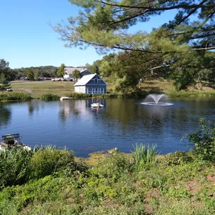 View of swimming area