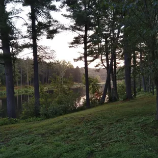 View of lake from yard