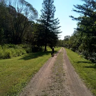 Walking trail