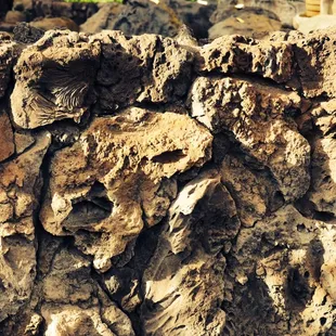 BIG ROCK ULUPALAKUA VENEER covering the plywood wall. This is fabulous stone!