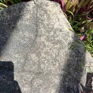 My faux lava pavers are bleaching after 3 years... you can now see that they are concrete. Not thrilled with this expensive lesson