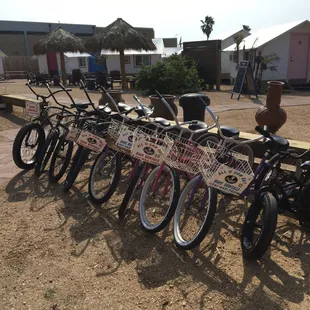 Rental fleet at Camp Coyoacan