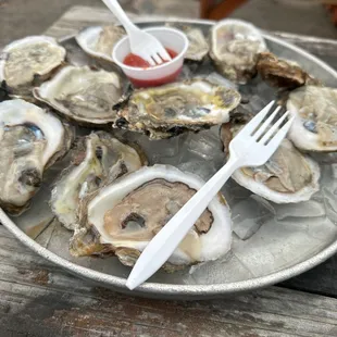 oysters, shellfish, food, mussels, oysters and mussels