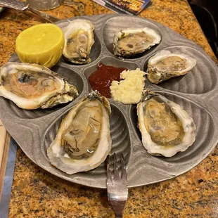 Dozen Oyster