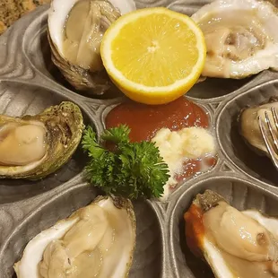Louisiana Gold Seal Oysters
