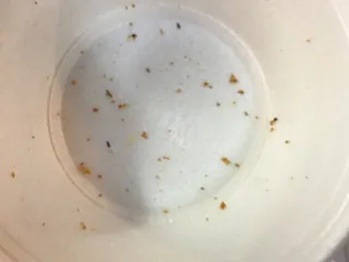 Danny's BBQ Head Quarters