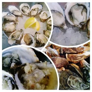 FRESH OYSTERS