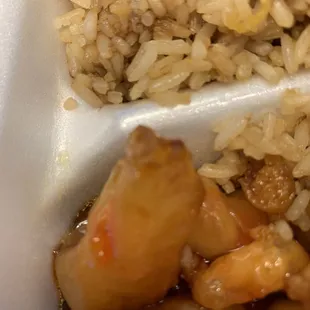 rice and meat in a container