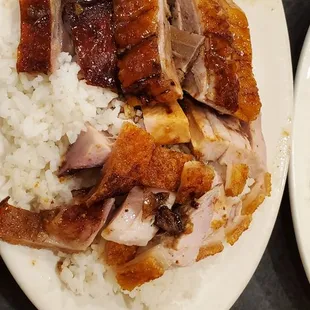 roast duck and roast pig rice