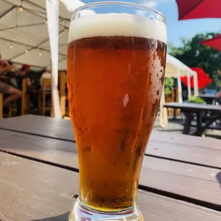 Cold Jack Savage on the patio