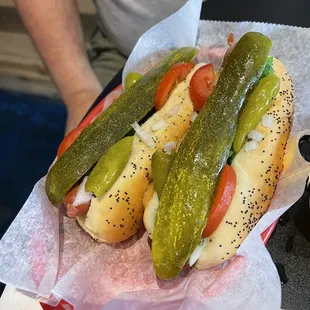 Chicago Hotdog