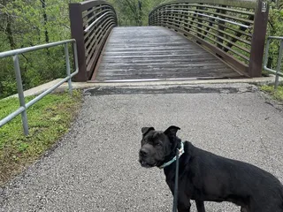 Prairie Creek Greenway