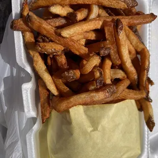 Fries and burger--fresh and hot!