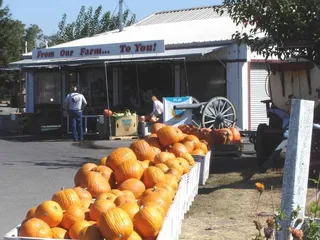 Louie's Frutta Market