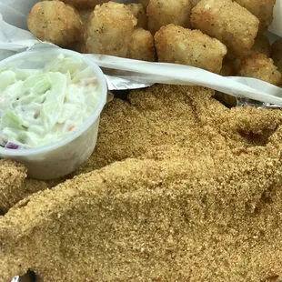 Catfish and tots with a side of slaw