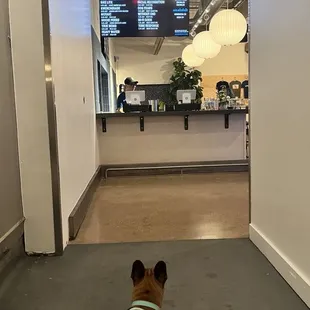 Lots of different rooms to explore