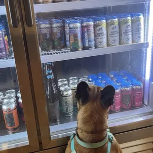 Lots of beer to buy and take home