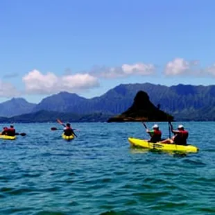 Kayaking tours of Kualoa, Kaneohe Bay, Oahu since 2005. The original kayaking tour of the bay. We paddle kayaks, not tow them.