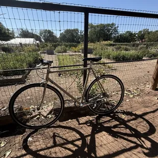 Bike perched while finding respite from long ride and sun!