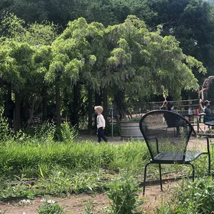 The beauty of it all