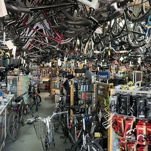 Bike King