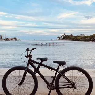 29" SE BIKES BMX BIG FLYER