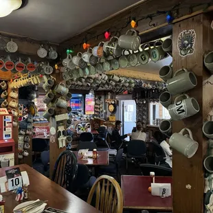 Drinking bugs are everywhere