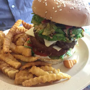 burger, food, burgers