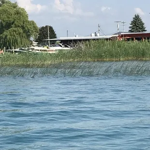  boat in the water