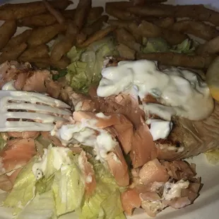 Raw salmon