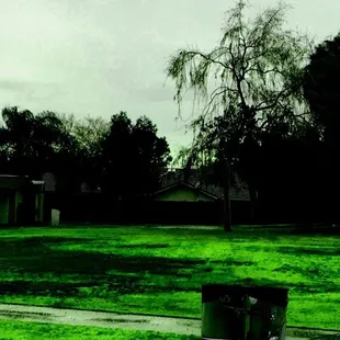 Bill Greens, California