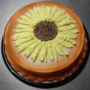 sashimi, sushi, food, sushi and sashimi