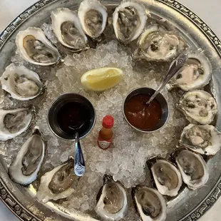 Daily oysters