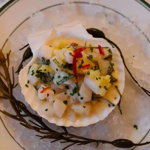 Ceviche