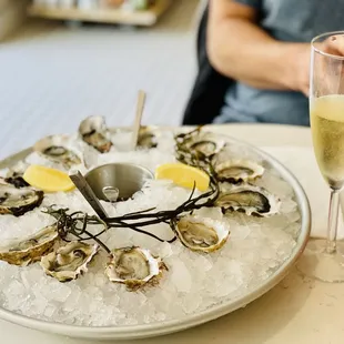 Happy Hour Miyagi Oysters  -- so fresh and delicious