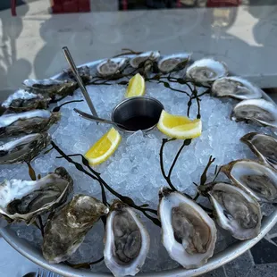 Happy hour oysters