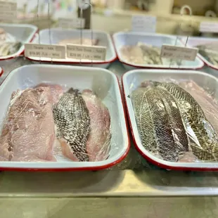 Fresh Fish