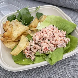 Maine Lobster Salad