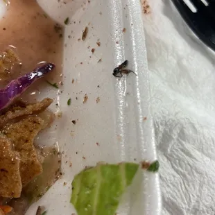 Some sort of insect that I didn't order was in my salad ... after I ate most of it. Will NOT be returning.