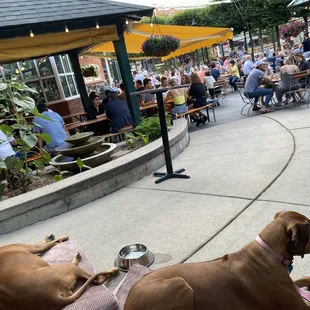 We love lazy summer days at the beer garden