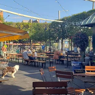 Late summer sunshine at Bill's