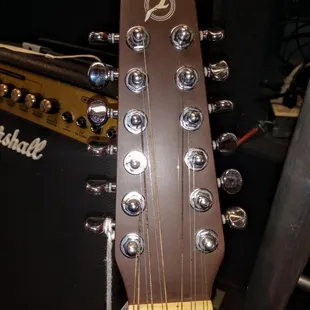 Seagull 12 string.