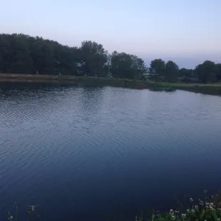 One of several ponds