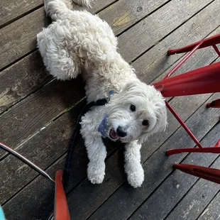 Chillin on the patio