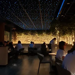 The stars on the ceiling