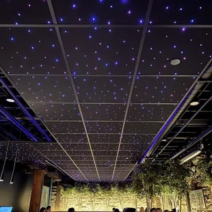 LED stars on the ceiling and the main dining space