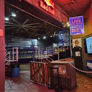 Bull riding available