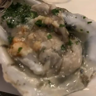 Fresh raw oysters in the half shell