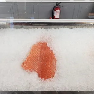 a piece of salmon on ice